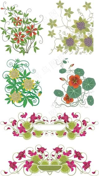 鲜艳花朵藤蔓植物矢量图 AI