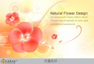 时尚花纹背景矢量图