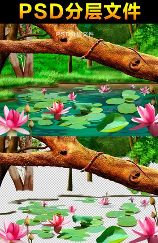 池塘荷叶素材分层大图