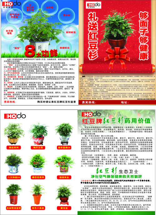红豆杉宣传单(210X297)cdr矢量模版下载