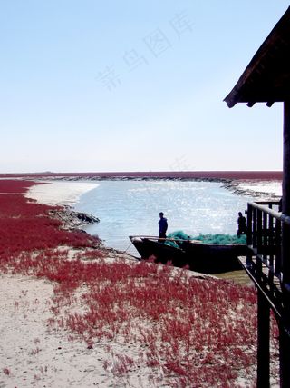 10月盘锦红海滩图片