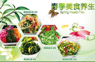 春季美食养生宣传海报