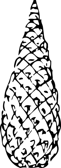 松果剪贴画