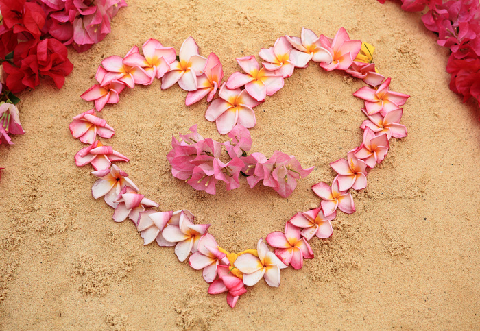 心形鲜花创意图案