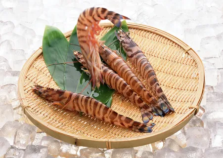 对虾图片 对虾图片