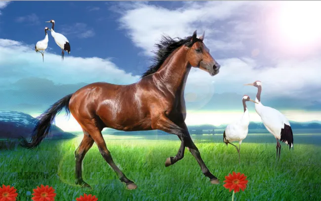 PSD分层骏马图(2560X1600(DPI:300))psd模版下载