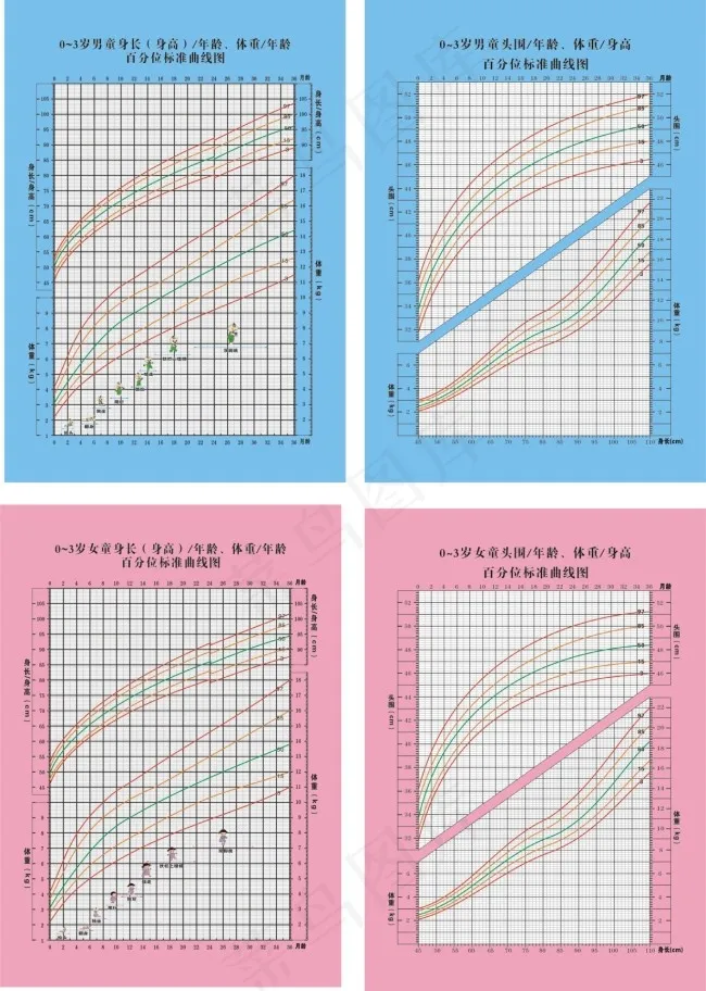 儿童身高头围体重生长 曲线图cdr矢量模版下载