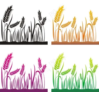 农作物小麦矢量素材