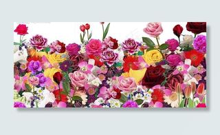 万紫千红 psd 源文件图片