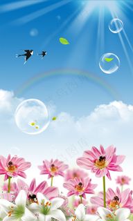 春天百合花荷花PSD分层素材