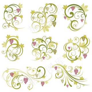 摘要植物葡萄装饰矢量