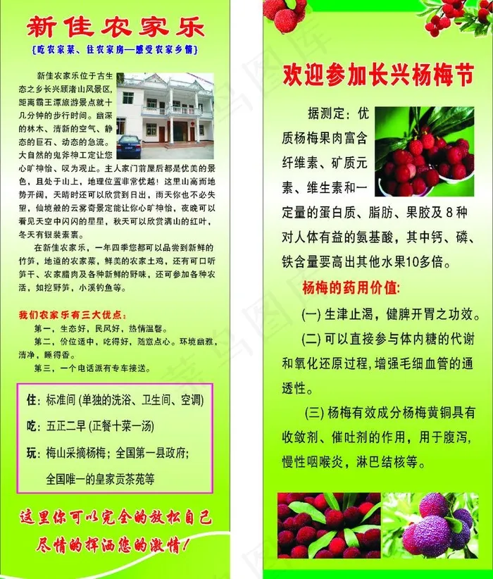 农家乐 长兴杨梅图片cdr矢量模版下载