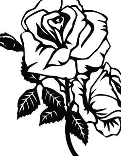玫瑰矢量线描图片 玫瑰矢量线描图片