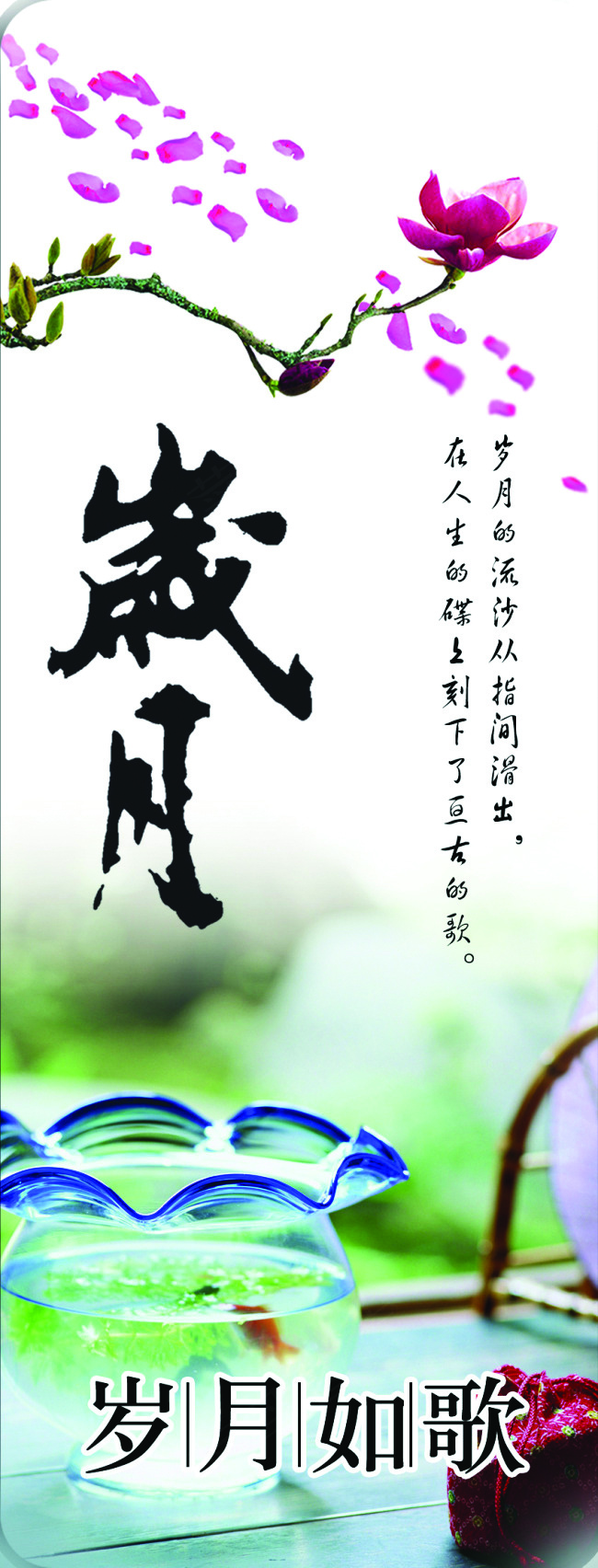 玻璃 移门