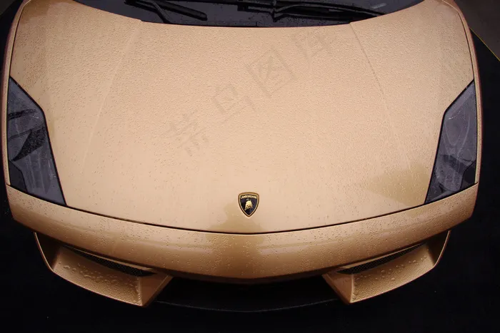 兰博基尼黄金限量版车头图片