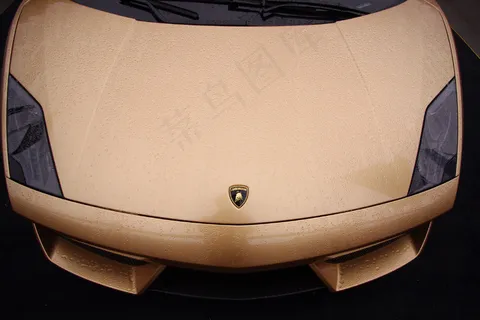 兰博基尼黄金限量版车头图片 兰博基尼黄金限量版车头图片