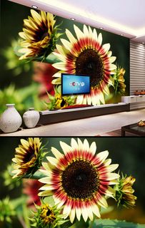 大型菊花电视背景墙菊花摄影图壁画
