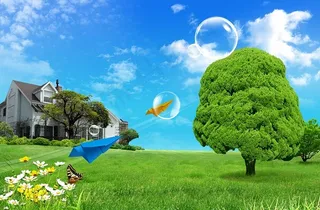 草地上的一颗茂盛大树