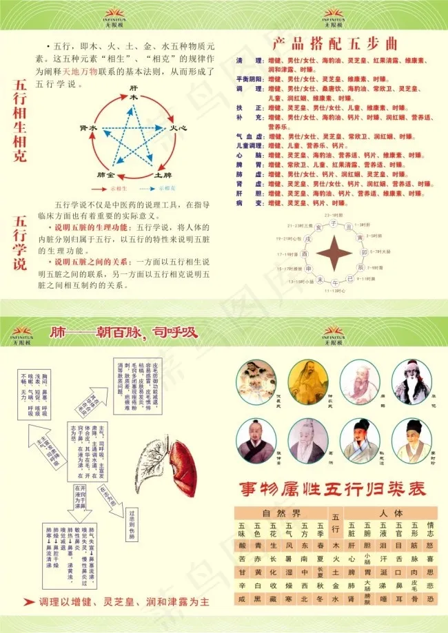 无限极五行养生cdr矢量模版下载