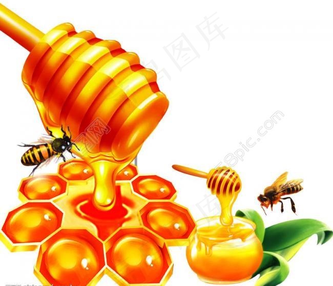 蜂蜜包装素材图片