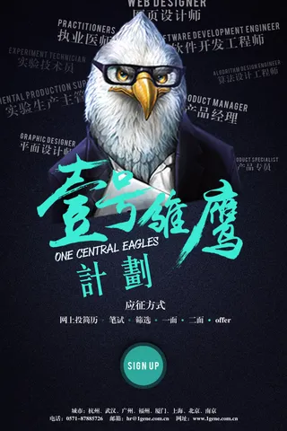 壹号雏鹰计划招聘海报
