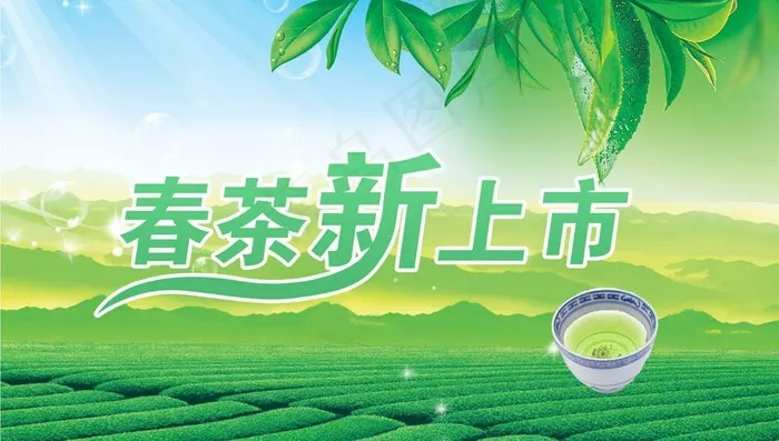 新茶上市图片psd模版下载