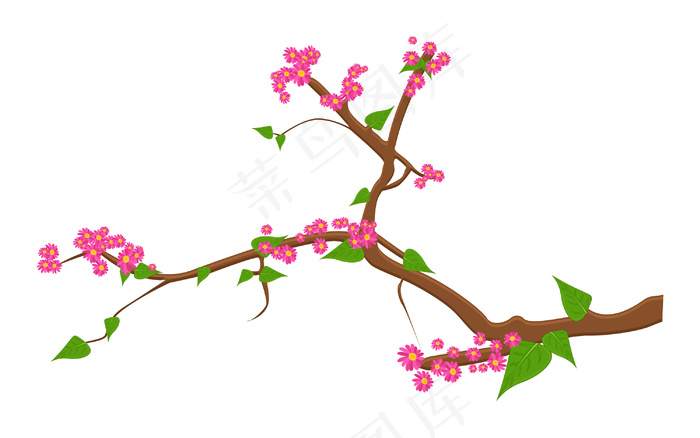 大自然的春天粉红色的花分公司