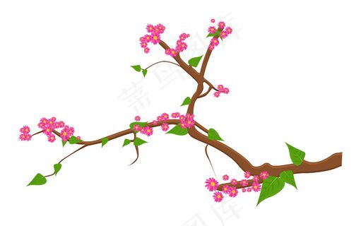 大自然的春天粉红色的花分公司