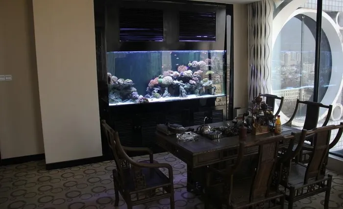 丰富多彩的海洋生物图片