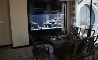 丰富多彩的海洋生物图片