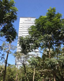 深圳联通大厦图片