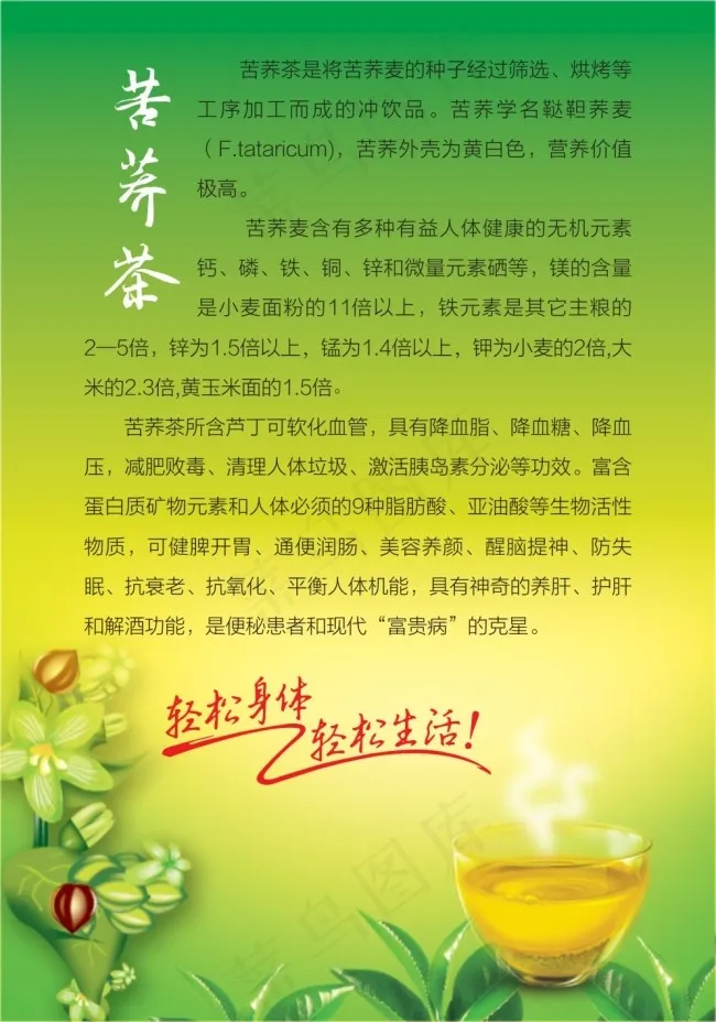 苦荞茶简介cdr矢量模版下载