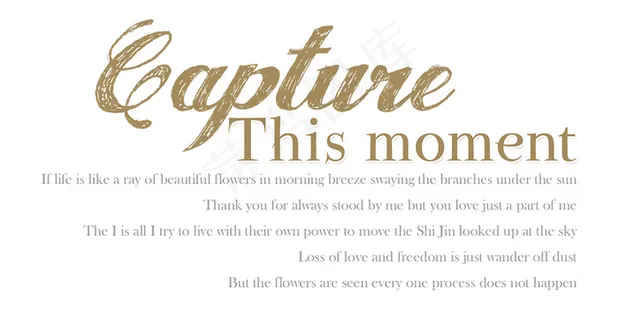 淘宝海报字体设计