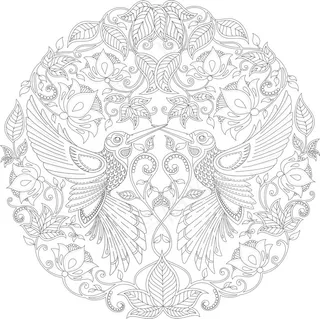 秘密花园系列之鸟