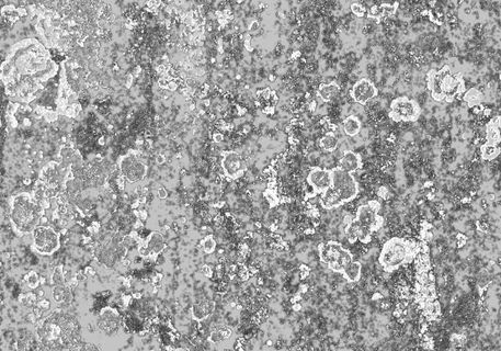 精品模型素材模板下载模型素材免费