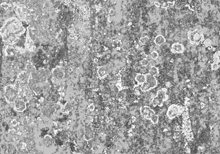 精品模型素材模板下载模型素材免费