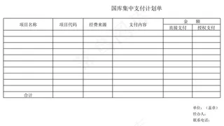 国库集中支付计划单