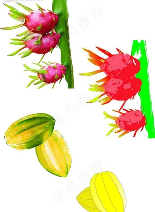 热带水果图片