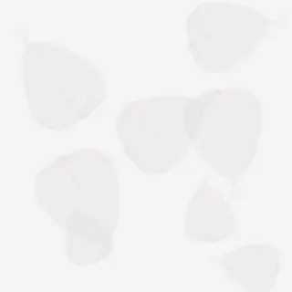 黑白叶底信息网页模板