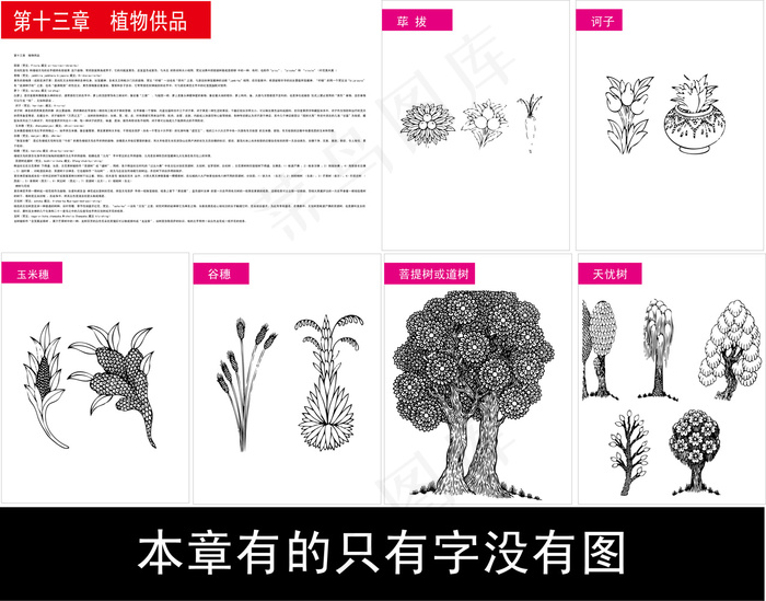 藏传佛教的符号和13个植物祭文物图...