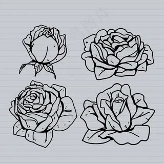 玫瑰花简笔插画