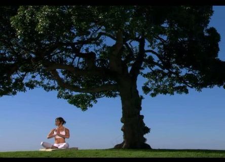 养生背景视频素材图片