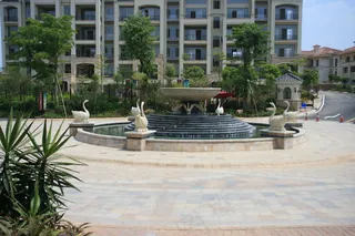 万科 佛山 天鹅湖 地产 别墅 欧...