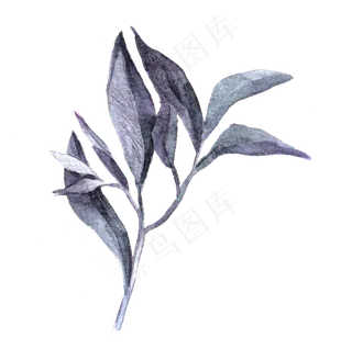 手绘水墨叶子png透明素材