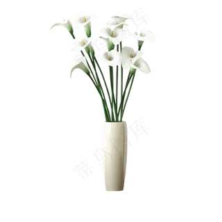 卡通室内绿植下载卡通室内绿植下载