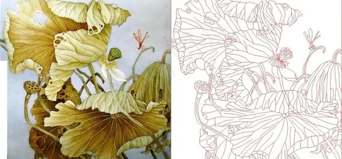 荷花 莲花图片cdr矢量模版下载