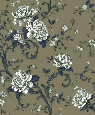 白色菊花背景图片素材下载