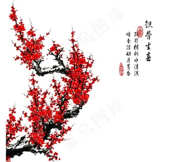 国画梅花图片
