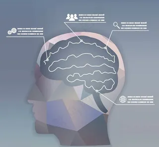 人脑大脑结构设计图片