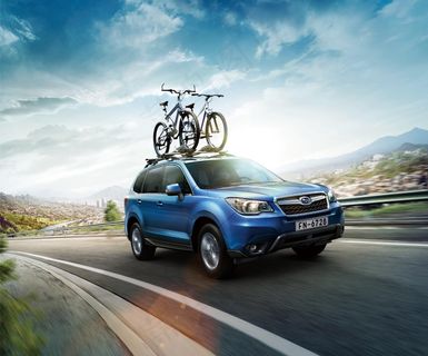 斯巴鲁森林人图片